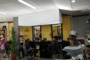 Sal&oacute;n Holzinger