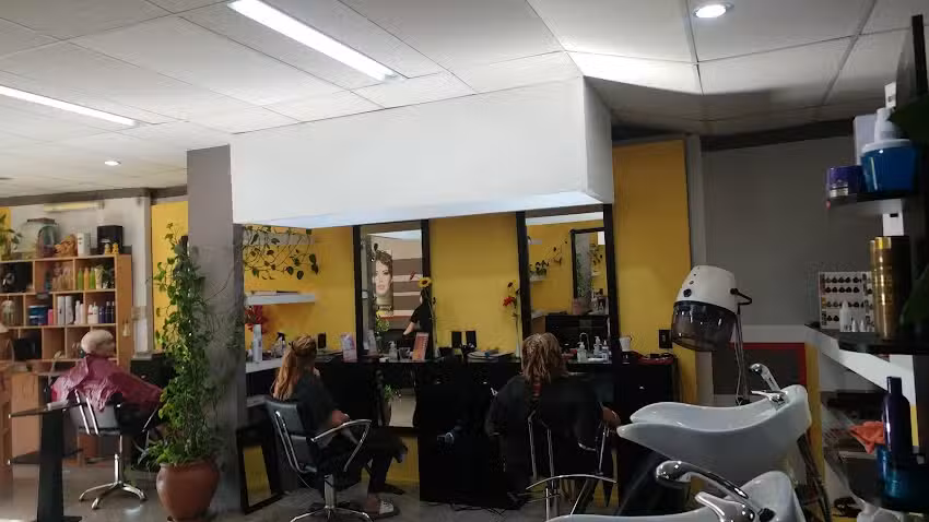 Sal&oacute;n Holzinger