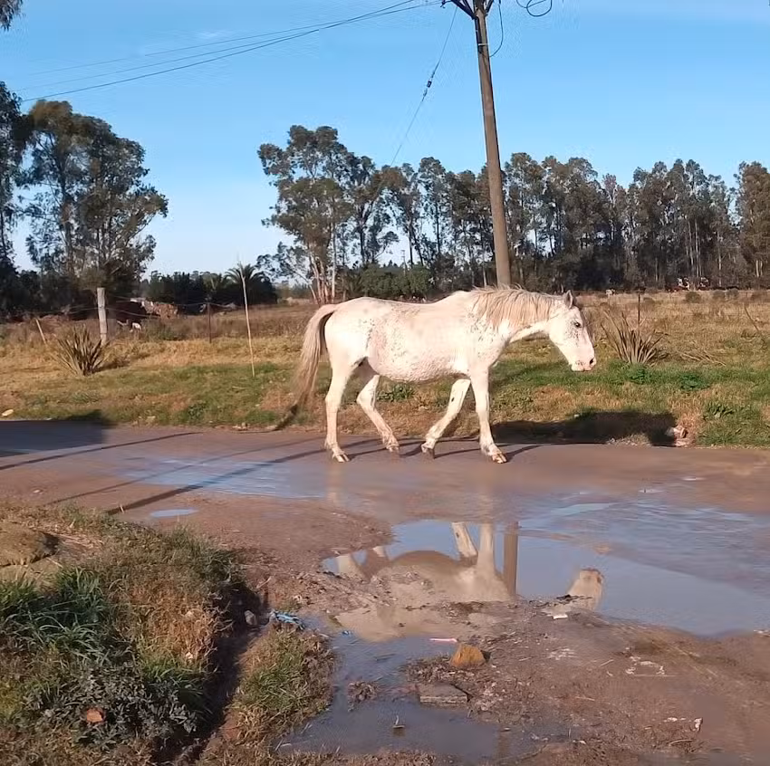 Sanchez&rsquo;S Barber Shop