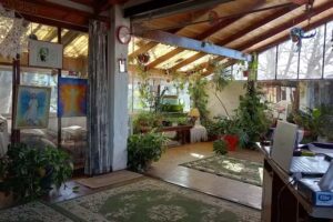 Ser Luz Bioenergía- Academia Online. Argentina.