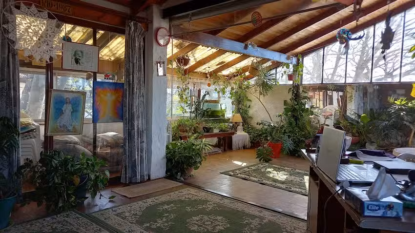 Ser Luz Bioenerg&iacute;a- Academia Online. Argentina.