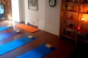 Ser Natural est&eacute;tica