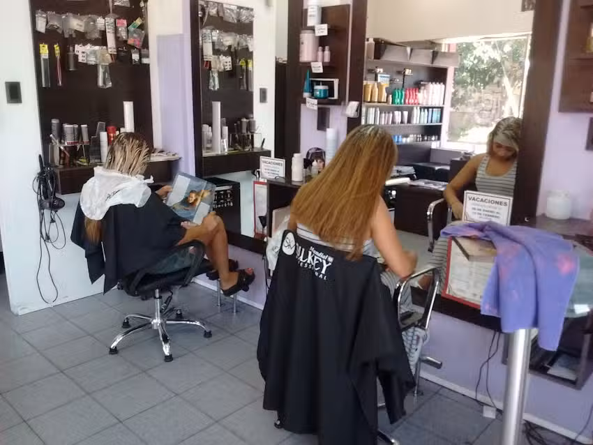 SERESTILISTA PELUQUER&Iacute;A