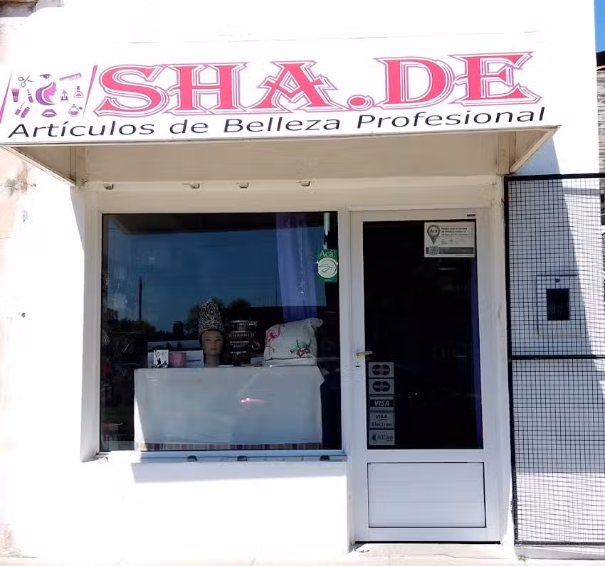 SHADE y MIS IDEAS