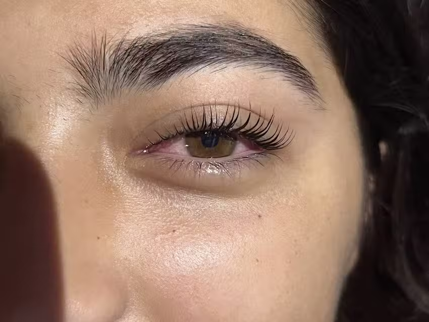 She Tabss Pesta&ntilde;as y cejas