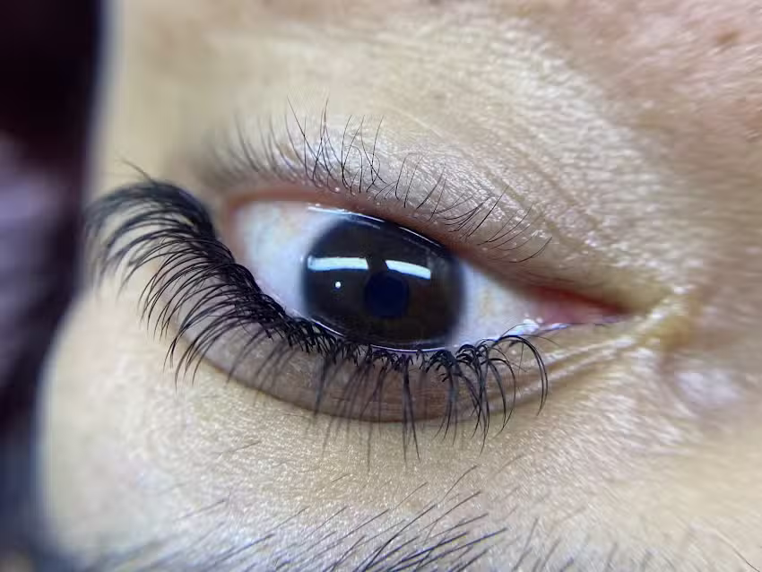 TIZIANA BUSTO LASH STUDIO