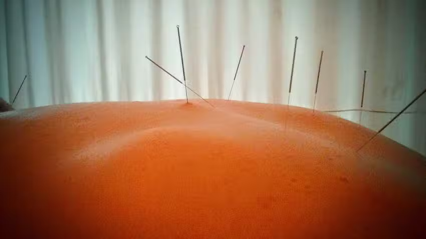 Tob&iacute;as Alamos Terapias