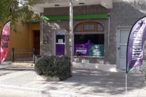 Veterinaria El Molino y Estetica Canina Huellitas