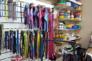 Veterinaria Patitas – Clinica – Peluqueria