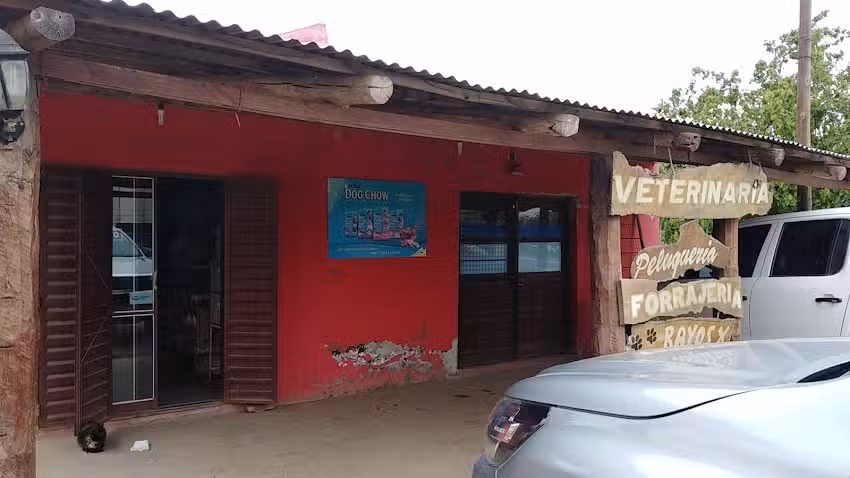 Veterinaria Peluquer&iacute;a Rayos X