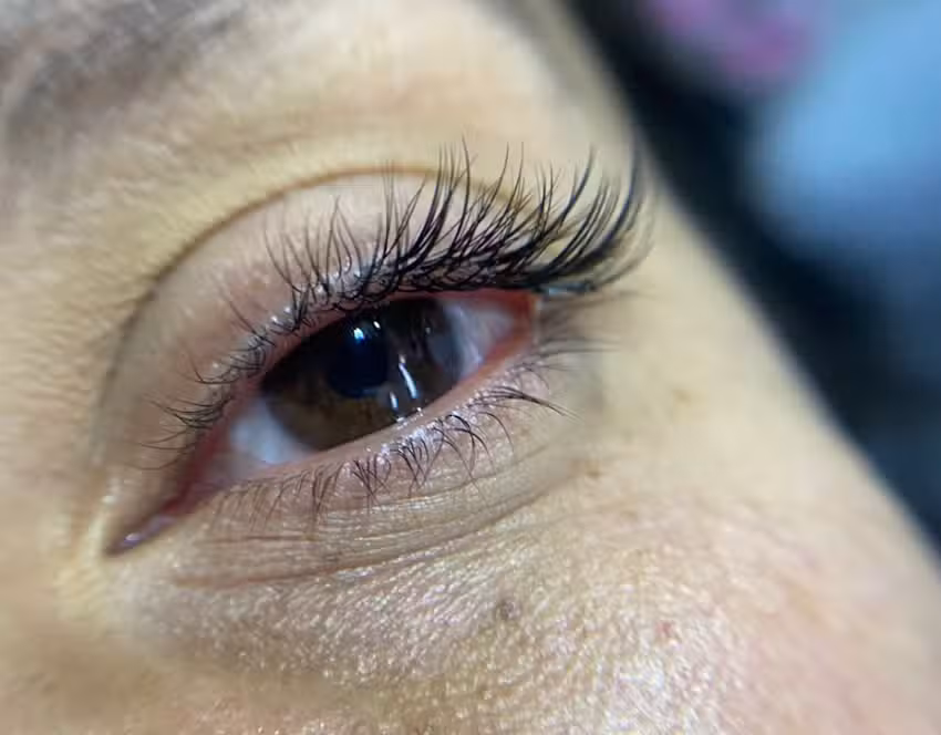 Xclusivas LashRoom
